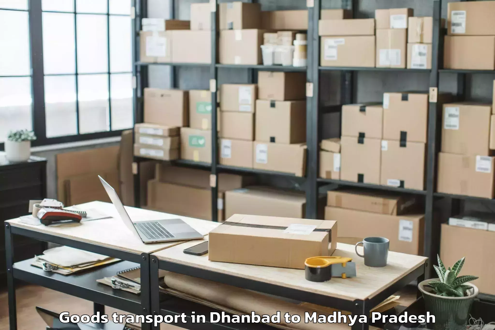 Professional Dhanbad to Badnagar Goods Transport